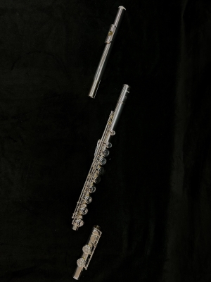 Store Special Product - Yamaha Band - YFL222